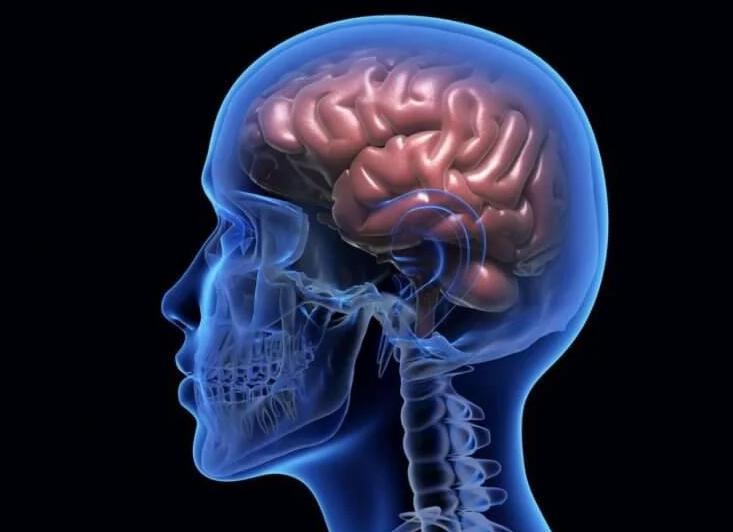 5 лучших способов сохранить здоровье мозга