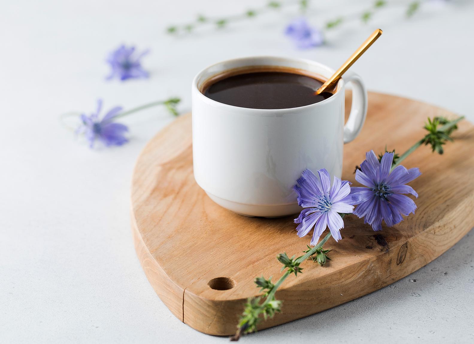 Цикорий: польза, противопоказания, комментарий эксперта