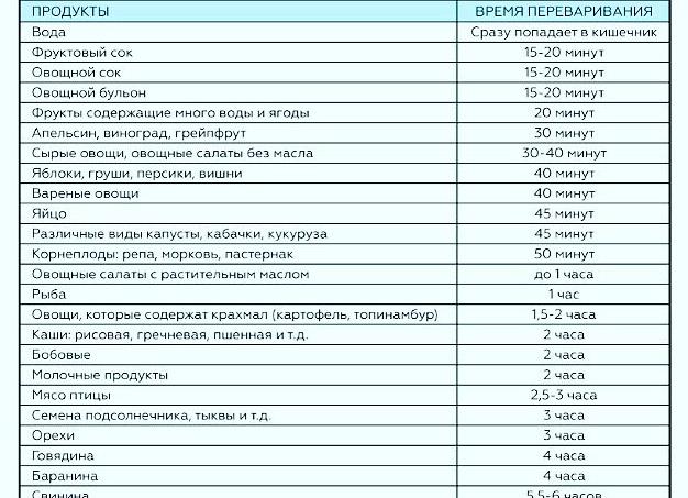 Сколько времени переваривается пища
