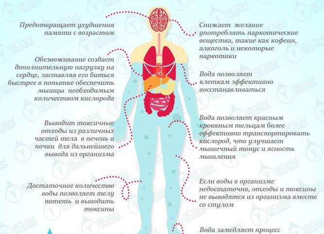Вода, как польза для тела