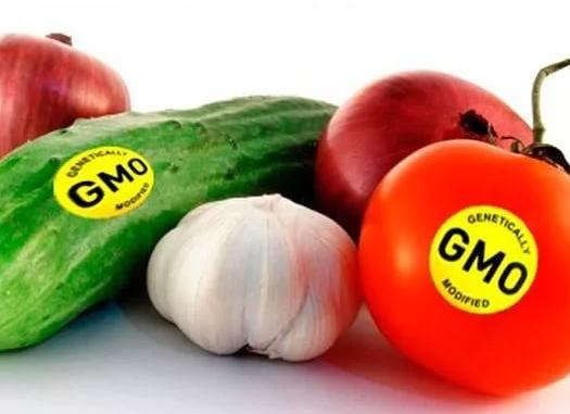Что такое ГМО продукты, как они влияют на организм