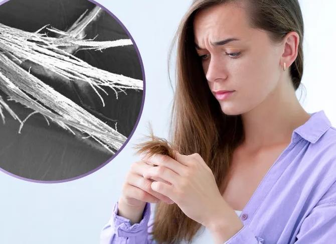 Секущиеся кончики: почему секутся волосы и как избавиться от проблемы