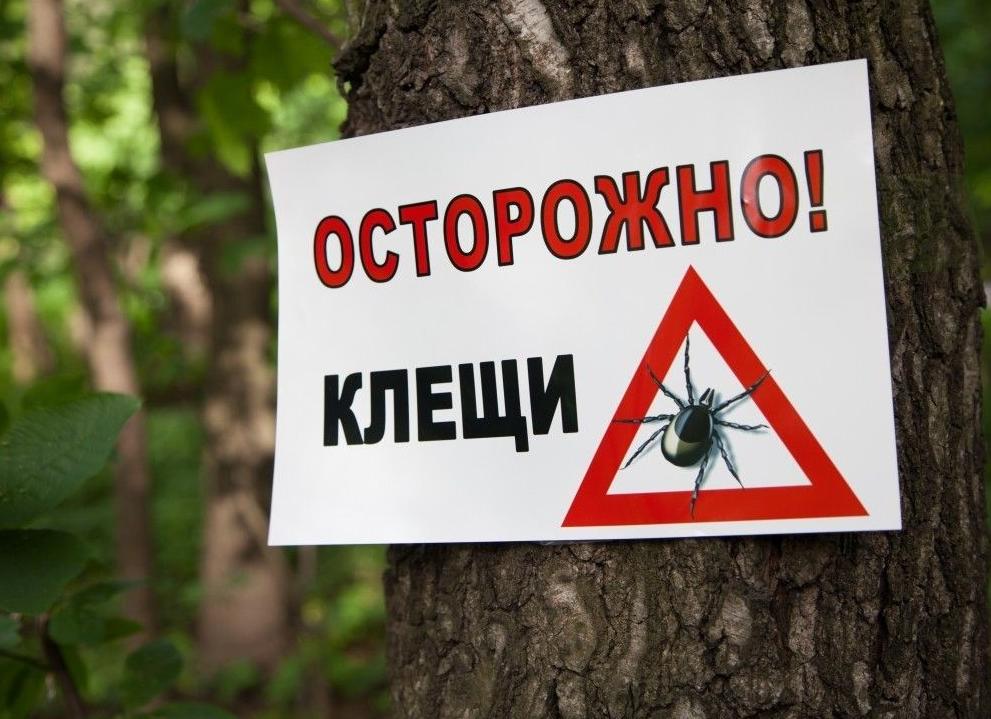 Осторожно, клещи!